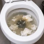 Desentupidora na Zona Leste (6)